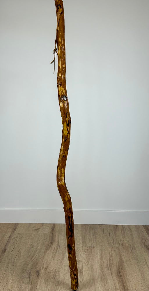 Handmade Walking Stick #7