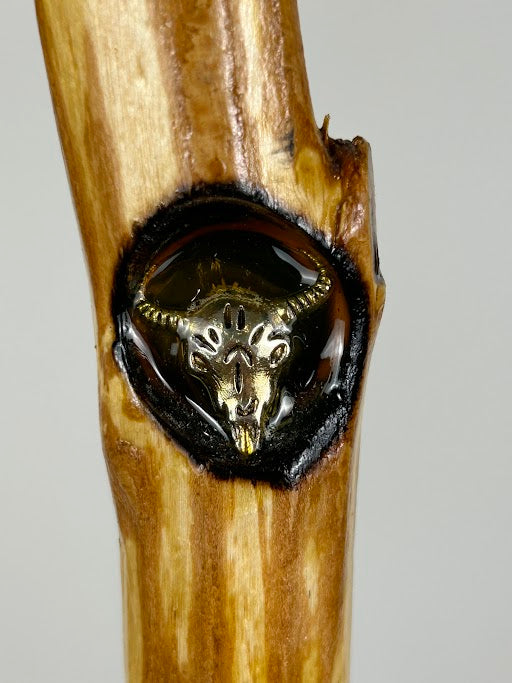 Handmade Walking Stick #4