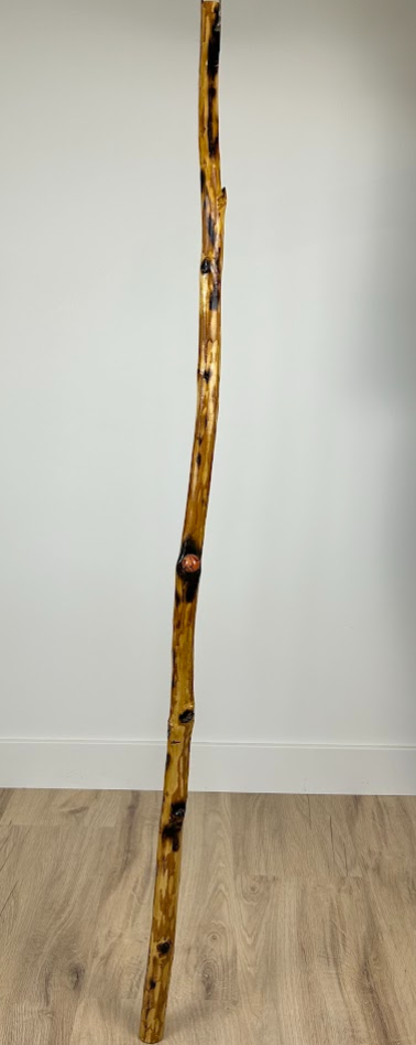 Handmade Walking Stick #3