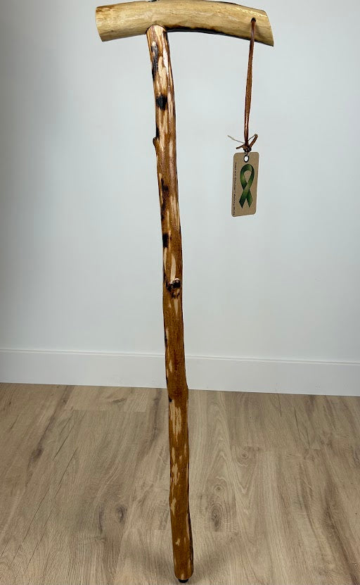 Handmade Walking Stick #10