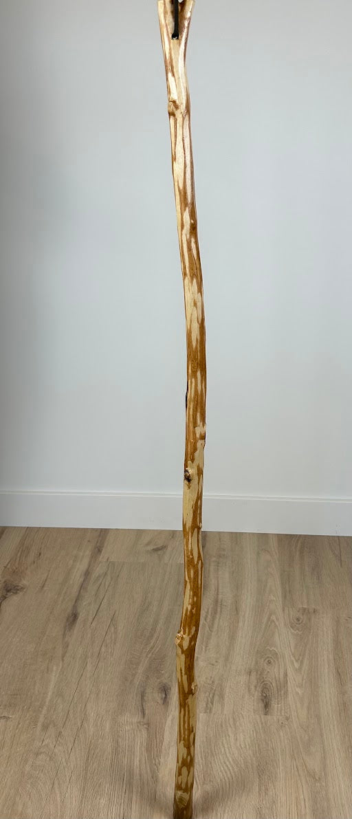 Handmade Walking Stick #1