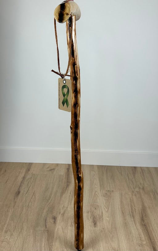 Handmade Walking Stick #10