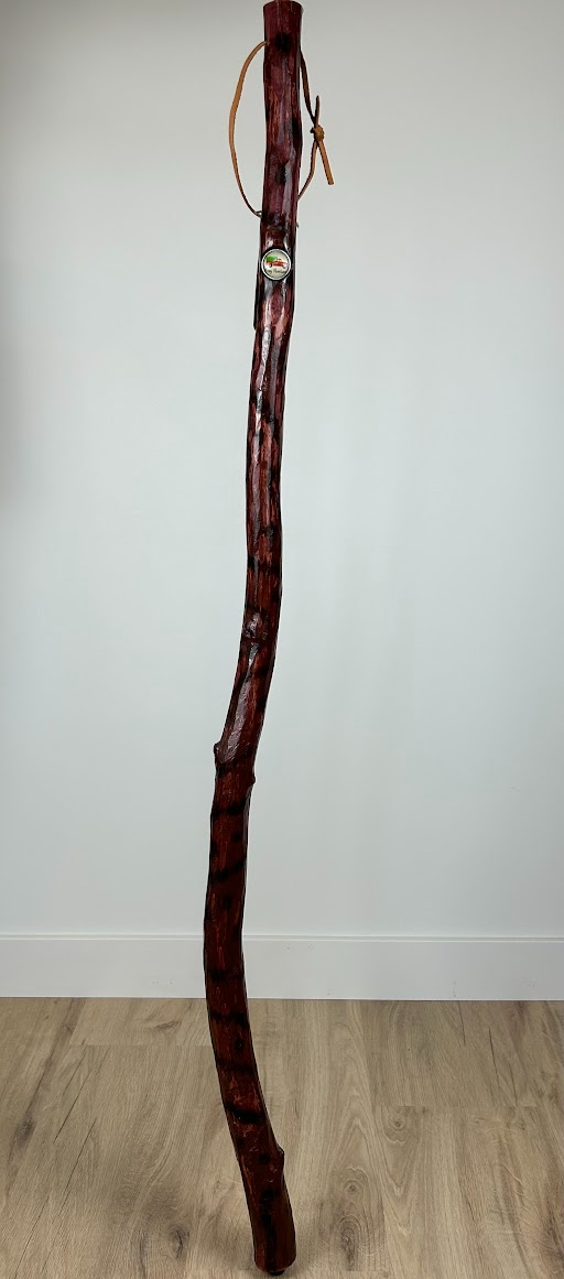 Handmade Walking Stick #8