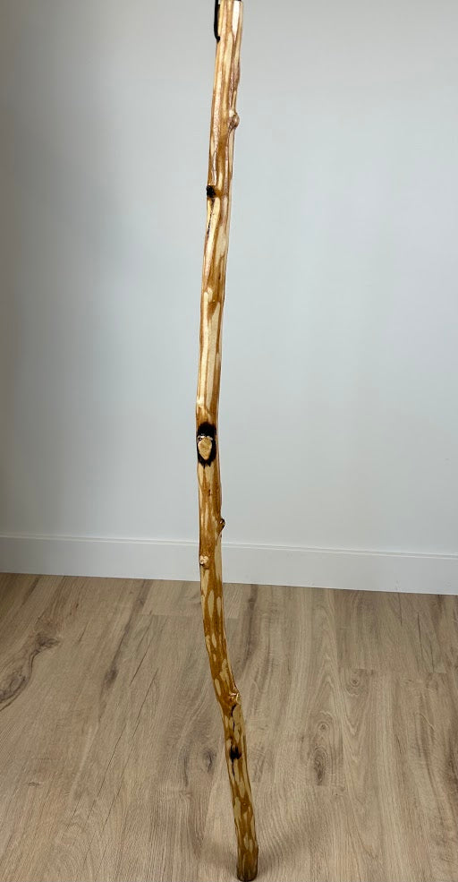 Handmade Walking Stick #1