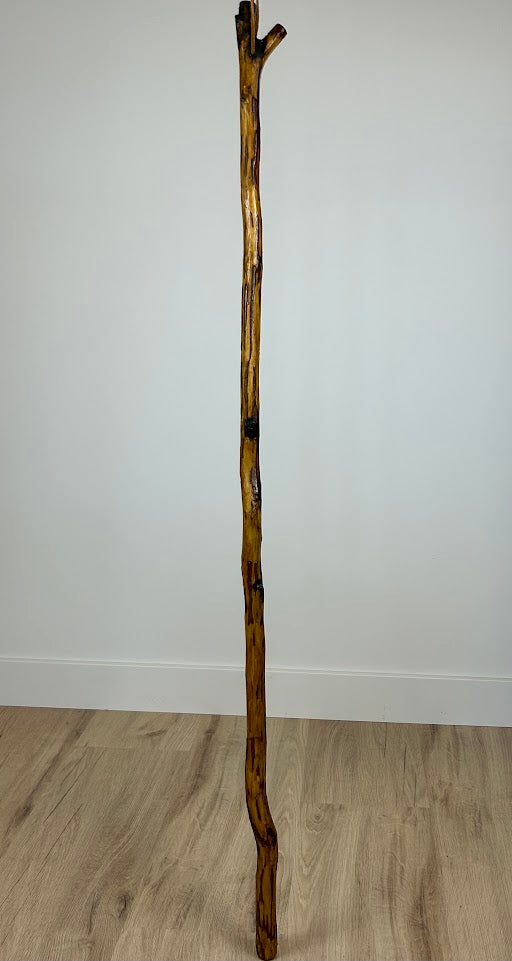 Handmade Walking Stick #2